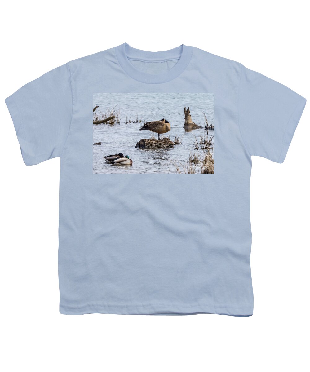 Canada Goose Youth T-Shirt featuring the photograph Canada Goose Sleeping On One Leg by Jennifer White