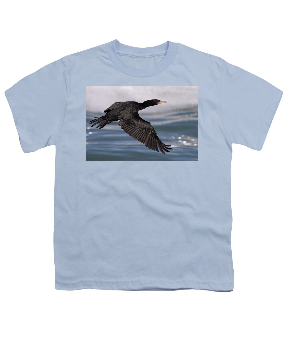 Birds Youth T-Shirt featuring the photograph Cormorant's Glistening Glide by RD Allen