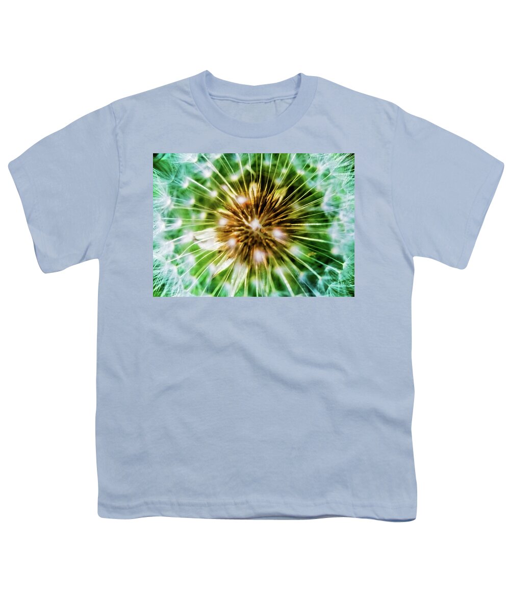Taraxacum Youth T-Shirt featuring the mixed media Dandelion Puff Ball by Pheasant Run Gallery