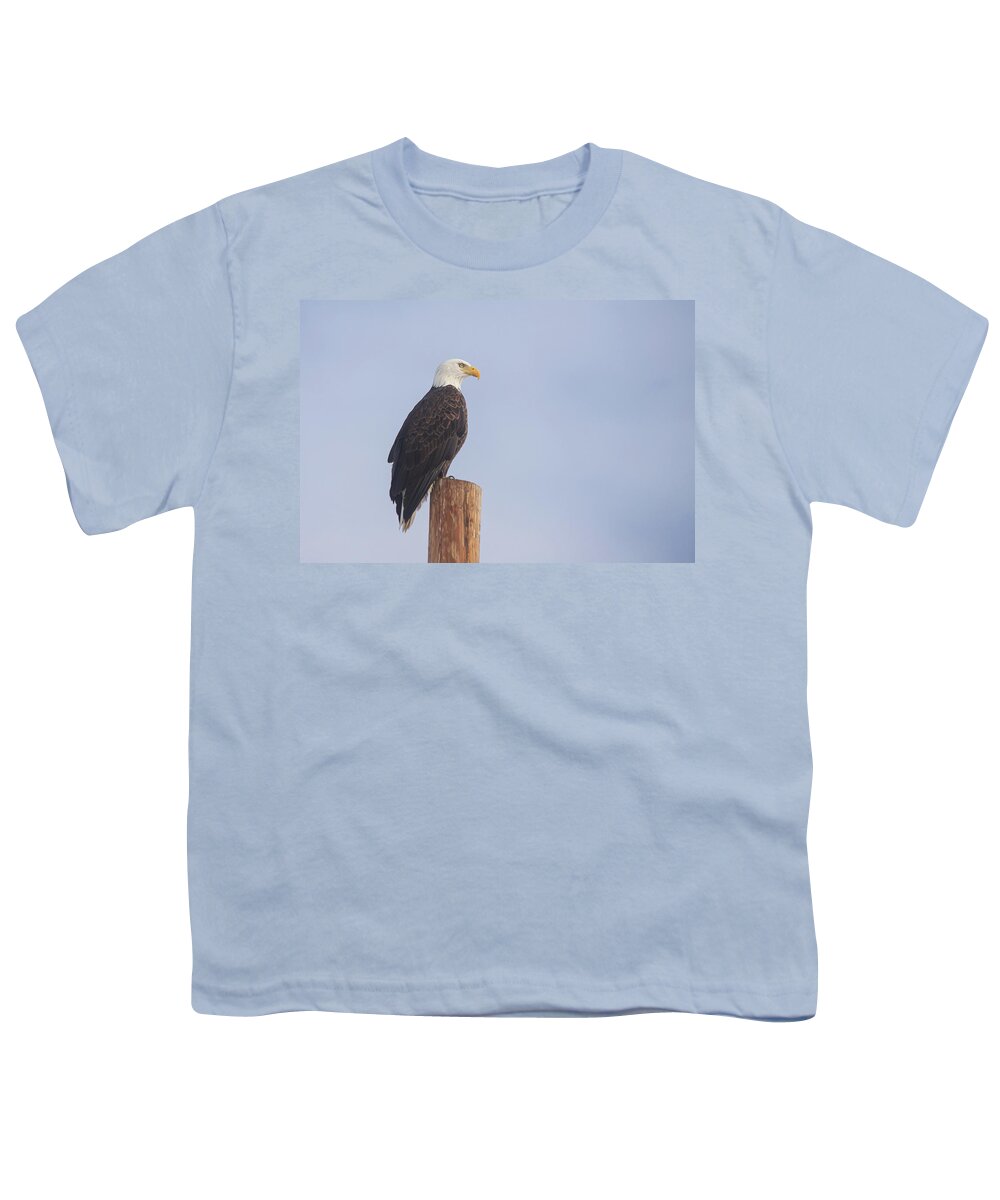 Lassen Youth T-Shirt featuring the photograph Eagle Posed Under Nature's Softbox by Mike Lee