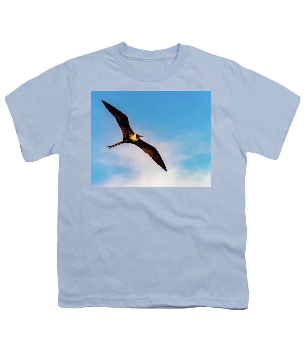Bird Youth T-Shirt featuring the photograph Frigatebird by William Dickman
