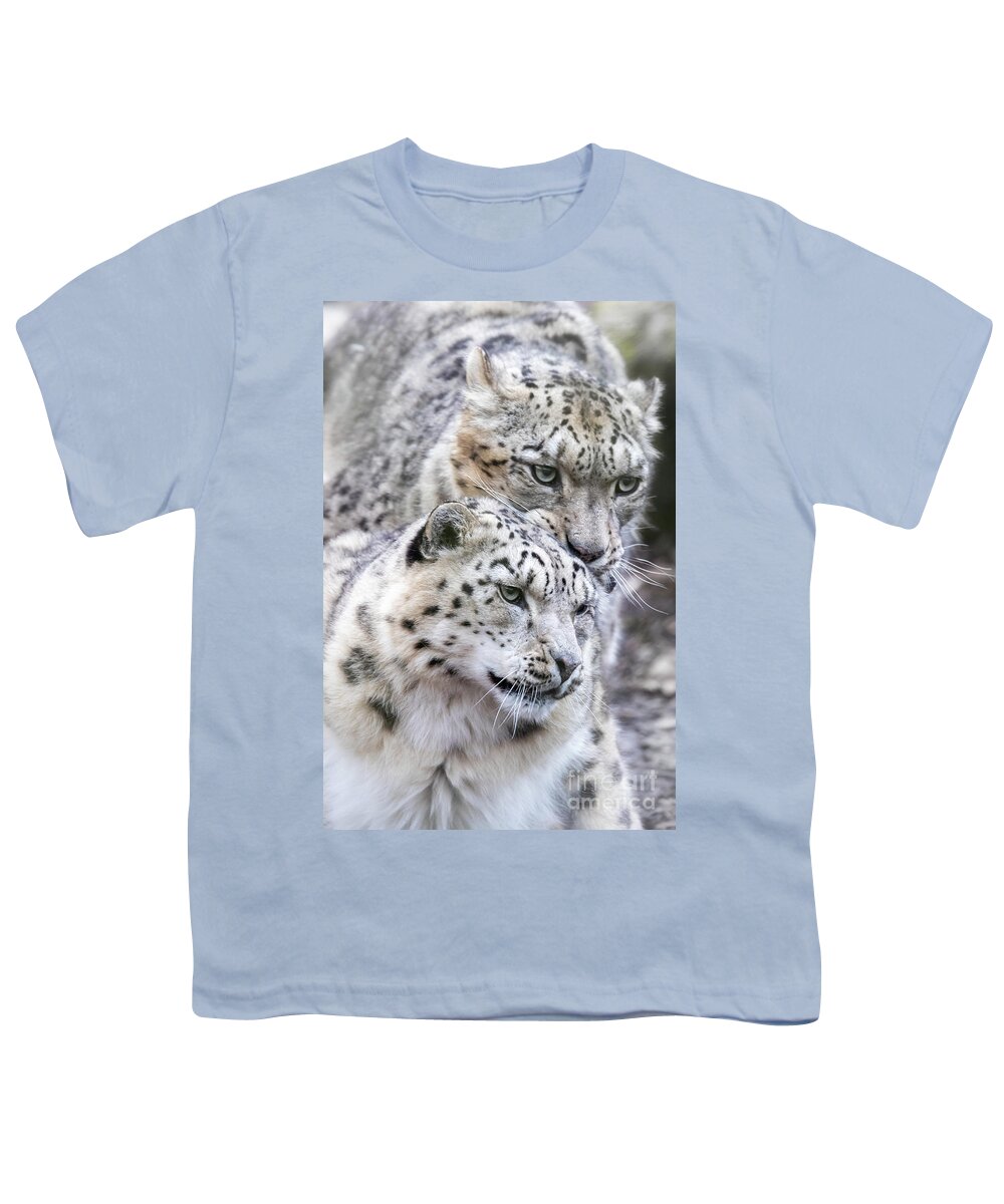 Wildlife Youth T-Shirt featuring the photograph Male and female snow leopards, mating pair by Jane Rix