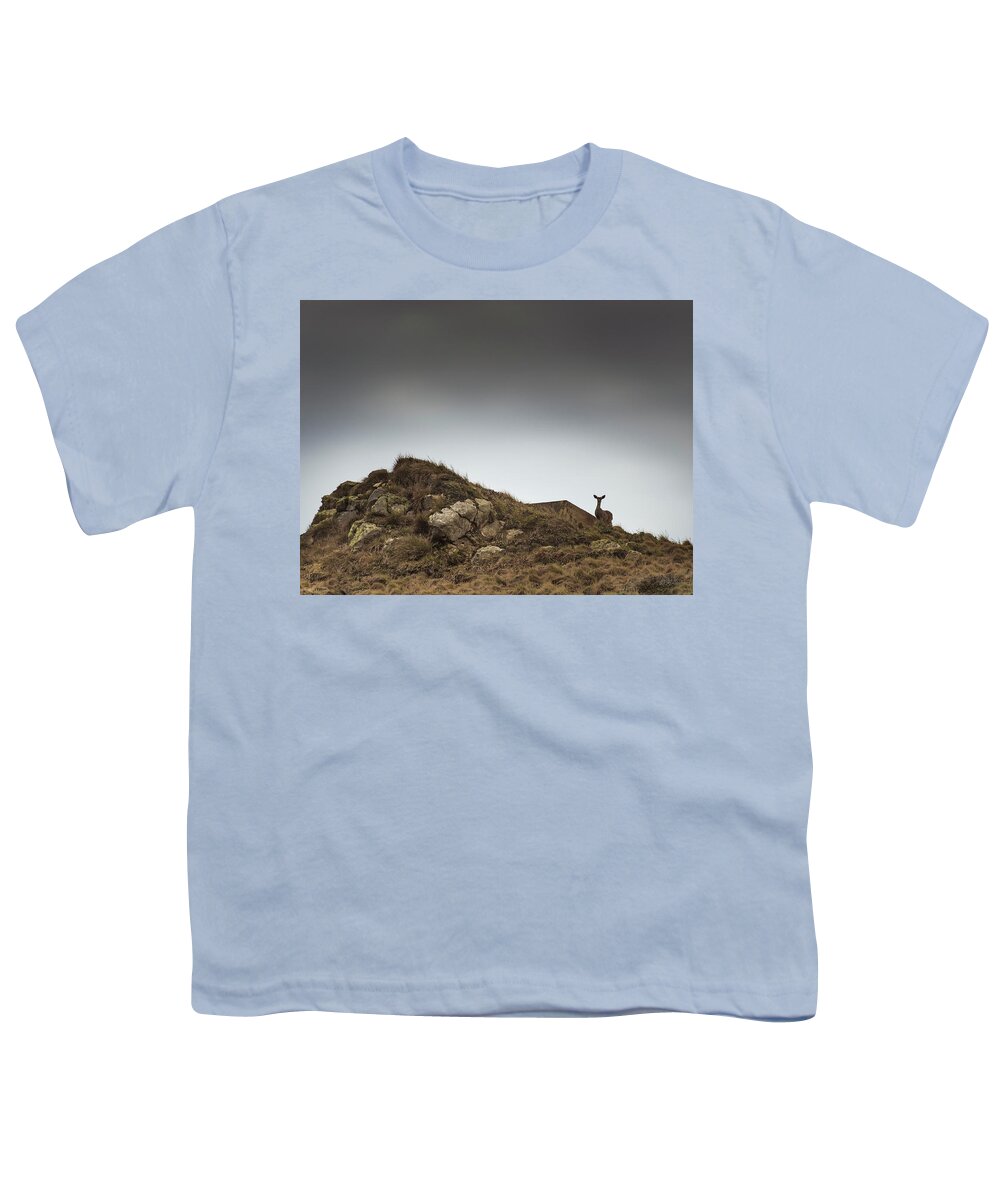Animal Youth T-Shirt featuring the photograph Mule Deer II Color by David Gordon