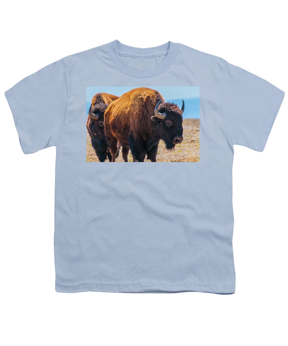 Agriculture Youth T-Shirt featuring the photograph Bison in Field in the Daytime by Tom Potter
