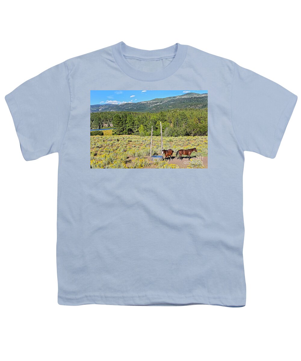 Horses Youth T-Shirt featuring the photograph Two Horses in Rabbitbrush by Catherine Sherman