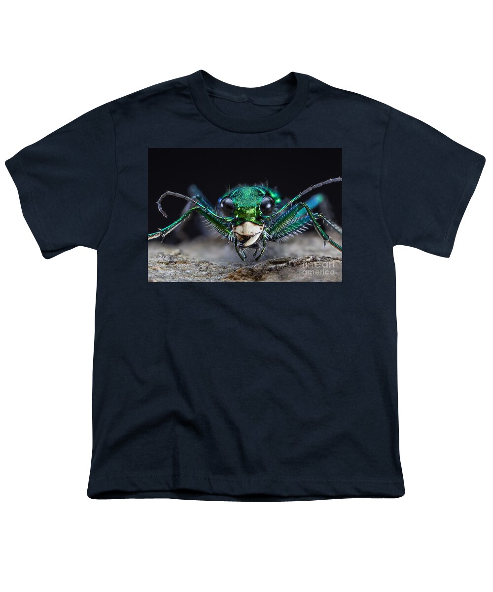 Green Tiger Beetle Youth T-Shirt featuring the photograph Six-spotted Green Tiger Beetle #2 by Phil Degginger