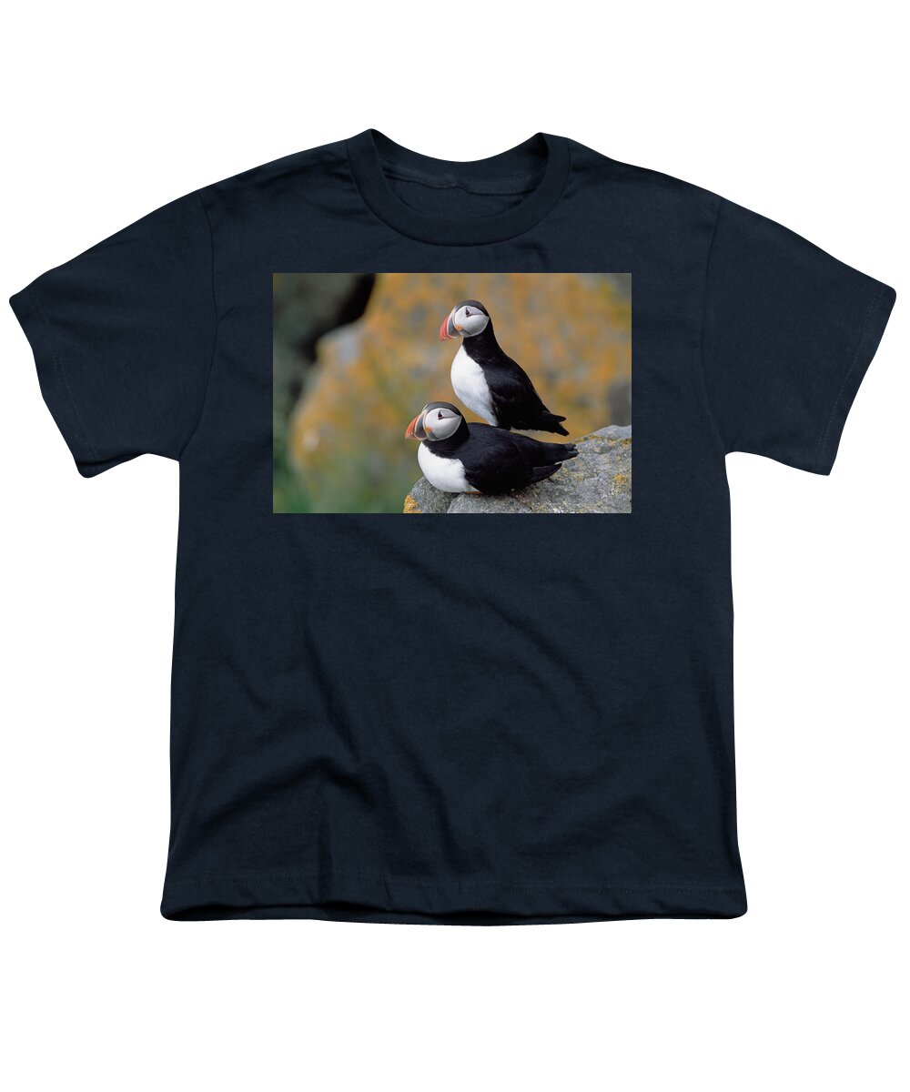 00342608 Youth T-Shirt featuring the Atlantic Puffins On Cliff Newfoundland by Yva Momatiuk John Eastcott