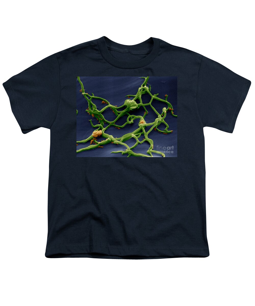 Micrograph Youth T-Shirt featuring the photograph Borrelia Burgdorferi by Eye of Science