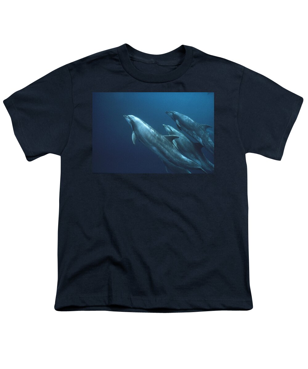 Feb0514 Youth T-Shirt featuring the photograph Bottlenose Dolphins Galapagos Islands by Mark Jones