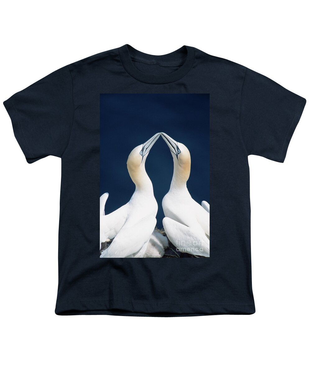 00342365 Youth T-Shirt featuring the photograph Greeting Gannets by Yva Momatiuk John Eastcott
