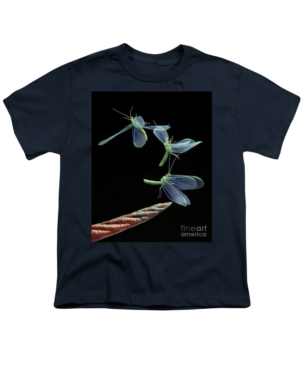Flash Youth T-Shirt featuring the photograph Lacewing Taking Off by Stephen Dalton
