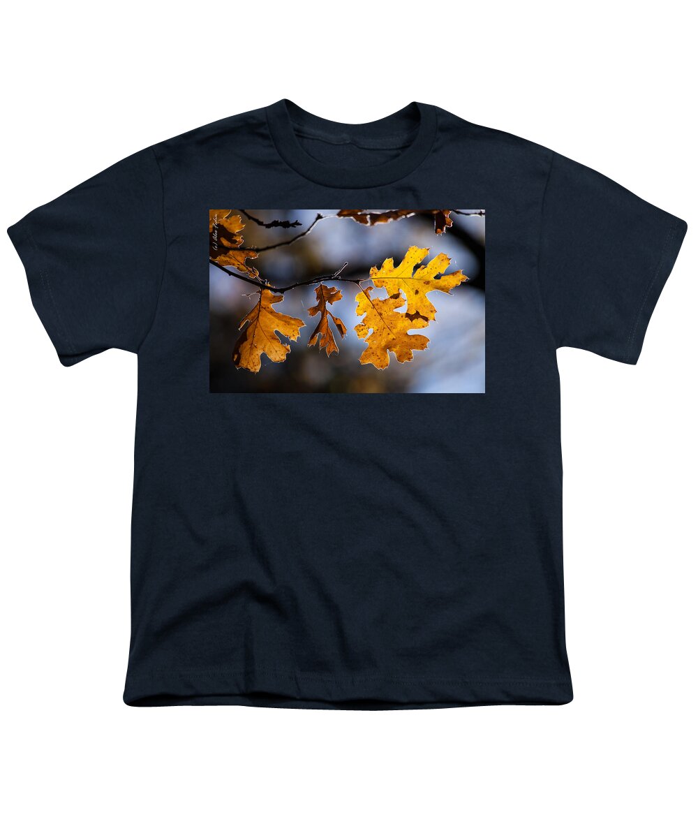 Autumn Youth T-Shirt featuring the photograph Oak Leaves by Alexander Fedin