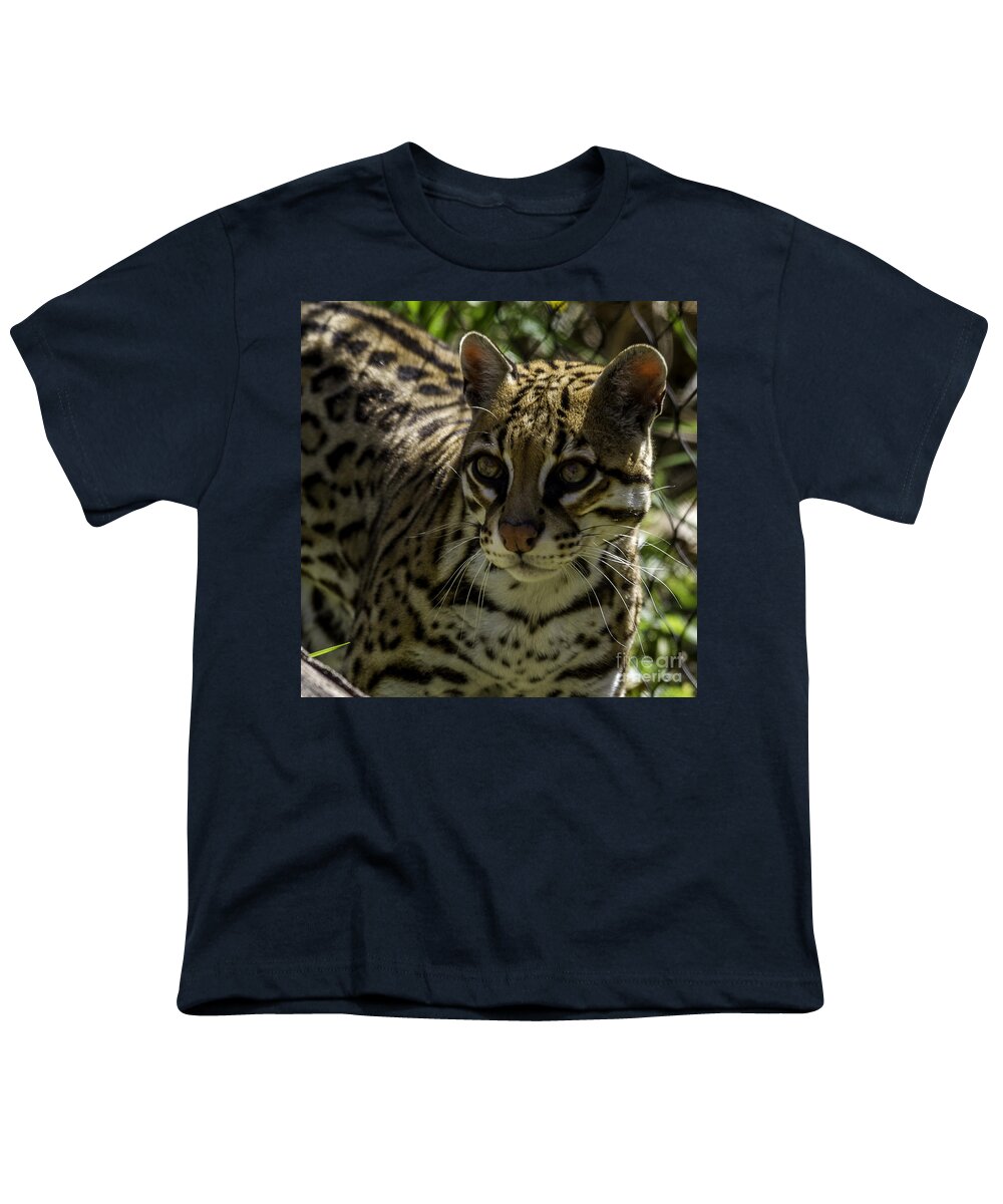 Big Cats Youth T-Shirt featuring the photograph Ocelot by Ken Frischkorn