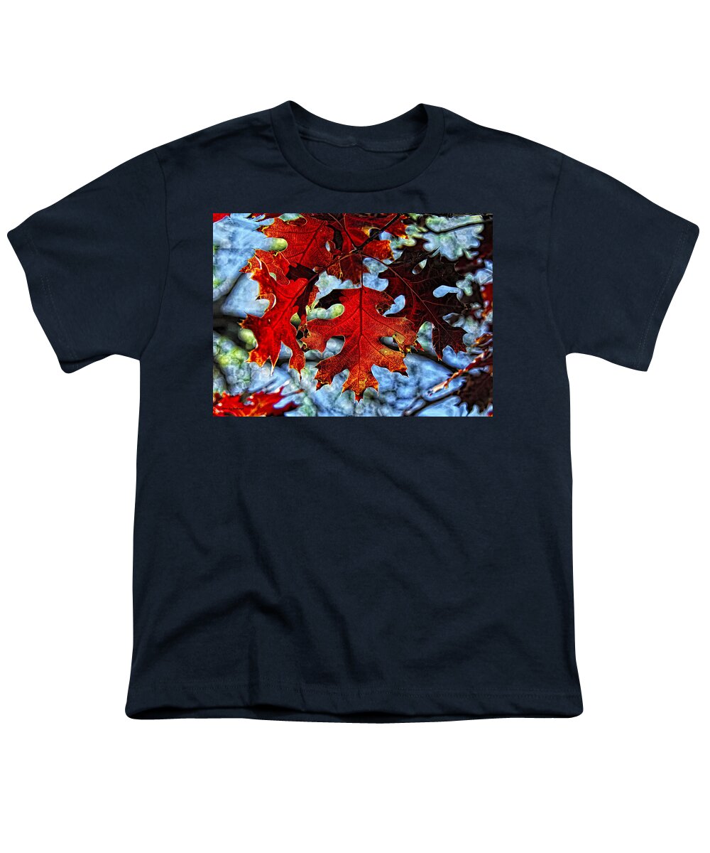 Fall Colors Canvas Print Youth T-Shirt featuring the photograph Stained Glass by Lucy VanSwearingen
