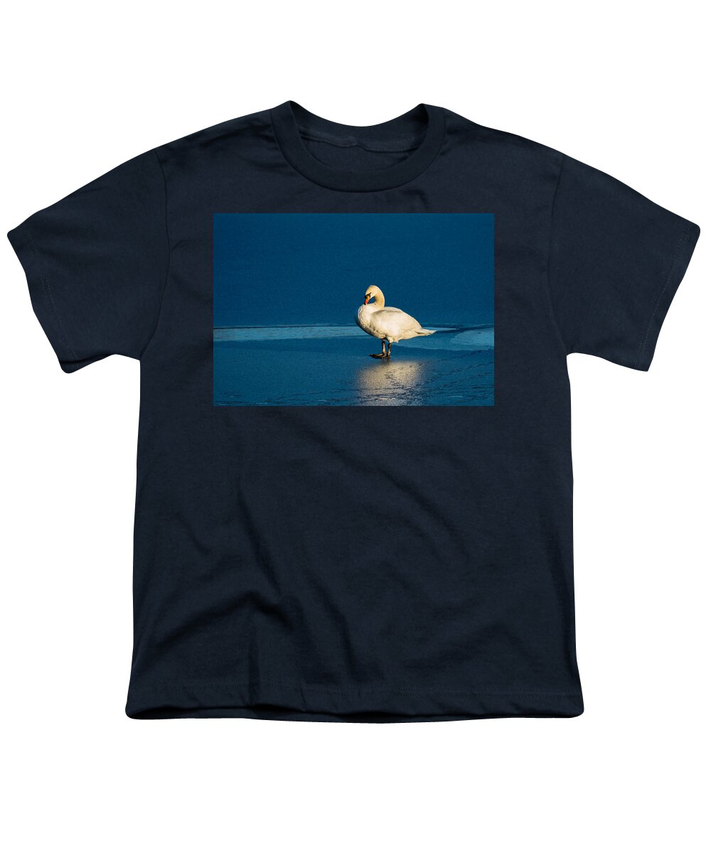 Swan Youth T-Shirt featuring the photograph Swan In Last Sunlight On Frozen Lake by Andreas Berthold