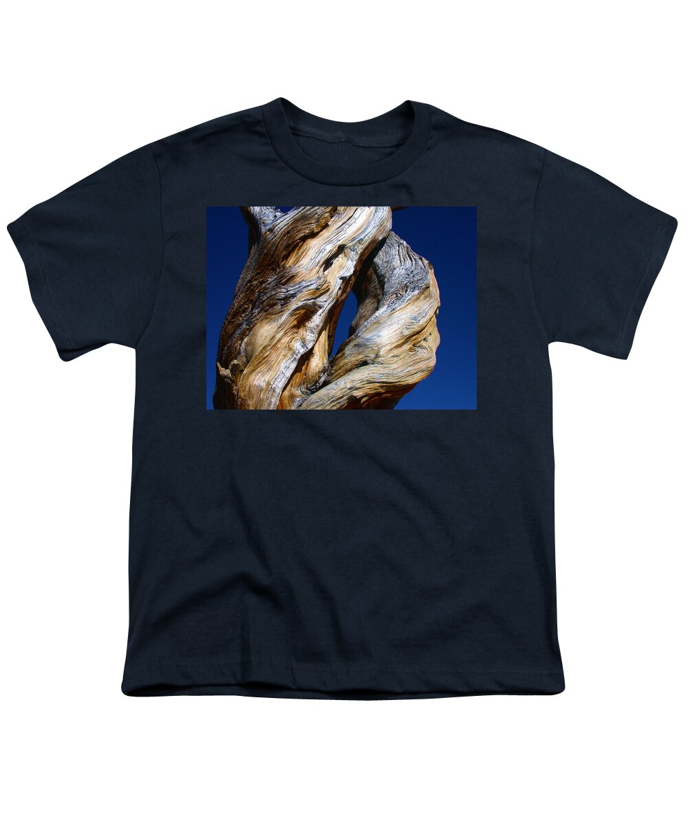 D Youth T-Shirt featuring the photograph The D Tree by Shane Bechler