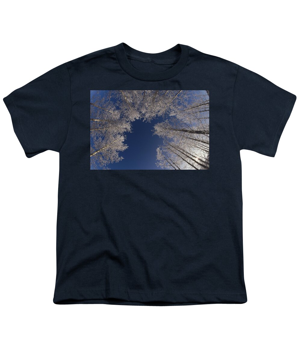 Feb0514 Youth T-Shirt featuring the photograph Winter Aspen Canopy Yellowstone by Konrad Wothe