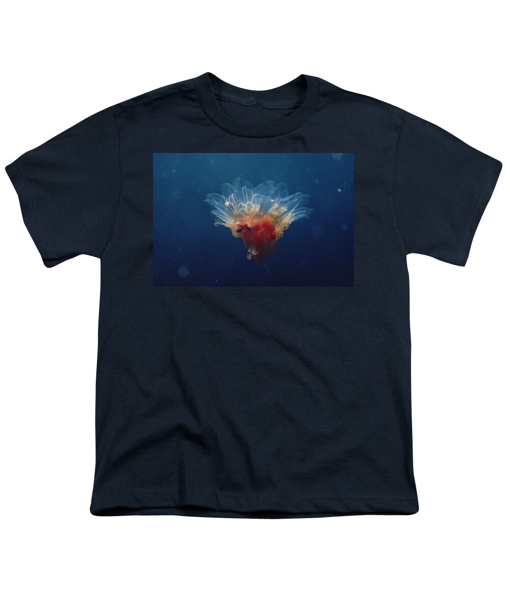 00084813 Youth T-Shirt featuring the photograph Arctic Jellyfish Off Baffin Island #2 by Flip Nicklin