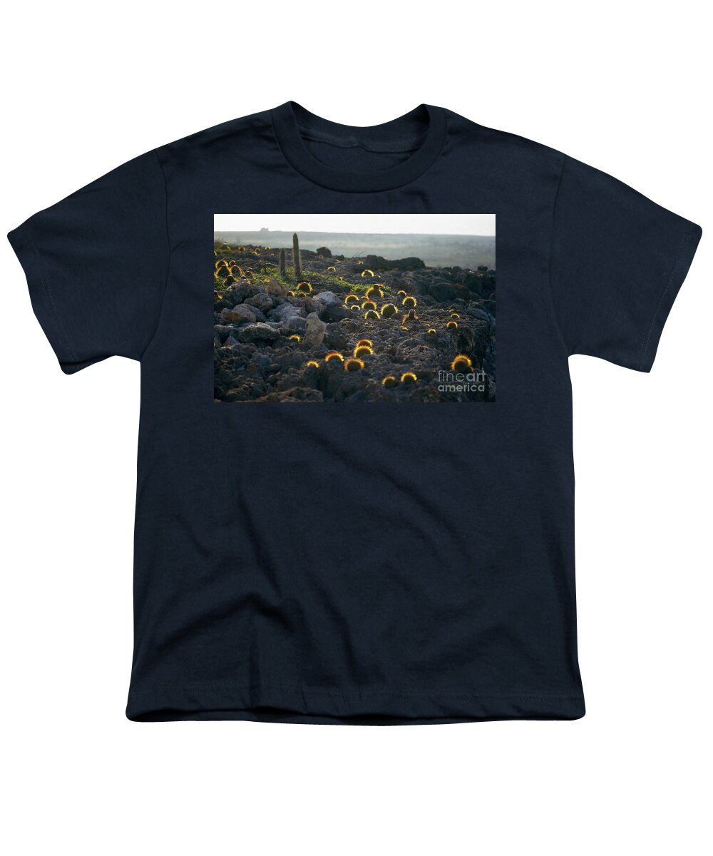 1973 Youth T-Shirt featuring the photograph Botany: Cacti by Granger
