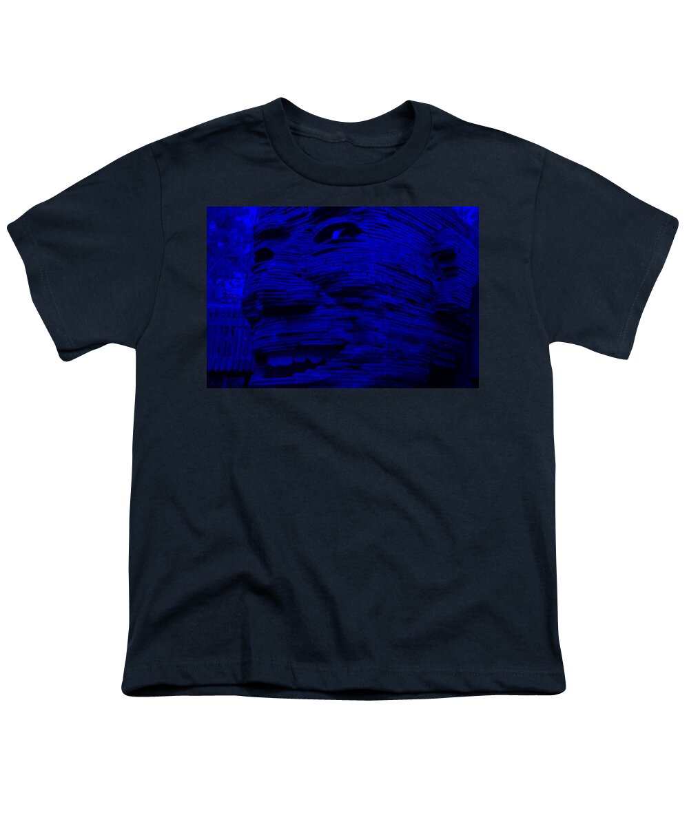Architecture Youth T-Shirt featuring the photograph GENTLE GIANT in BLUE by Rob Hans