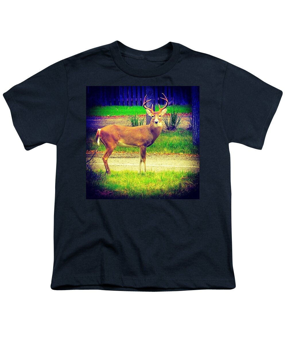 Fawn Youth T-Shirt featuring the photograph Mr. Big #horns Keeps Chasing All The #1 by Austin Tuxedo Cat