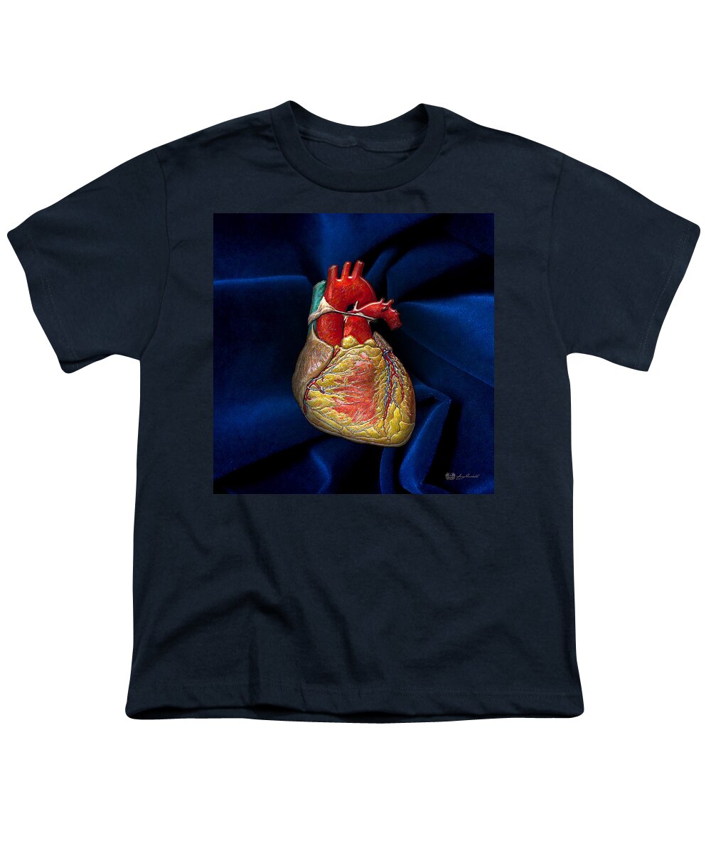 'inner Workings 3d' Collection By Serge Averbukh Youth T-Shirt featuring the photograph Human Heart Over Blue Velvet by Serge Averbukh