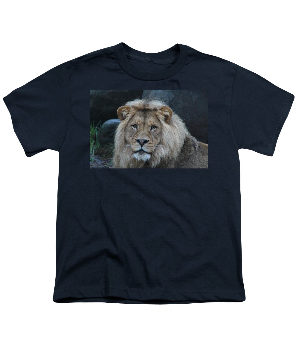 Lion Youth T-Shirt featuring the photograph Meal Time by Laddie Halupa
