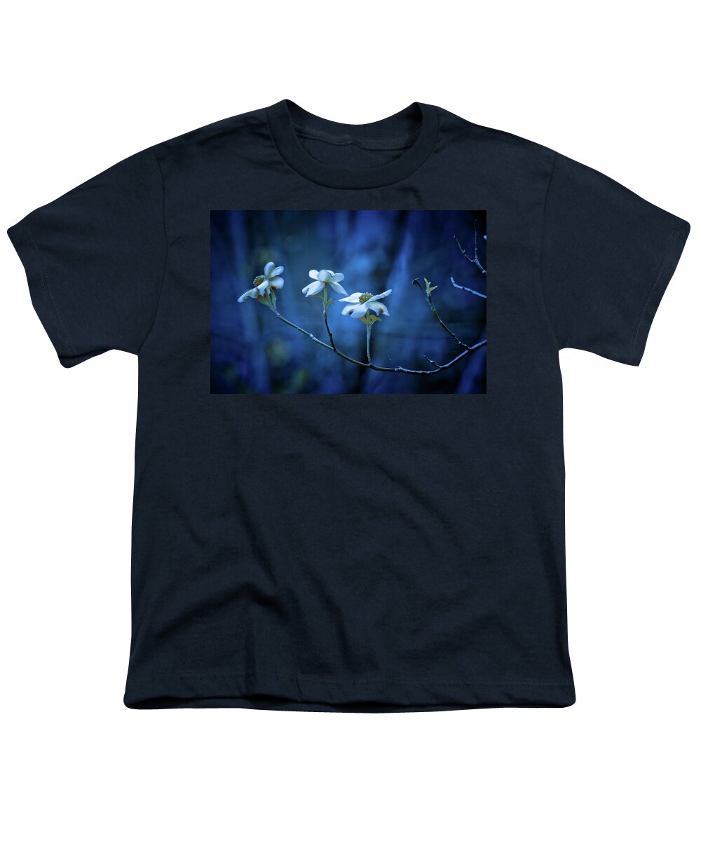 Texas Dogwoods Youth T-Shirt featuring the photograph The Dogwoods are Blooming by Linda Unger