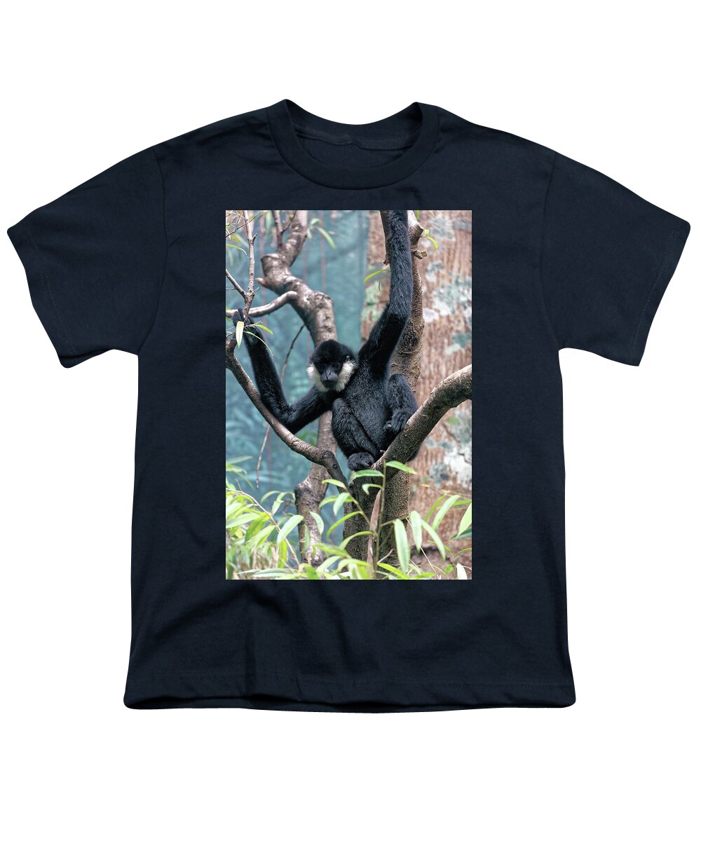 Bronx Zoo Youth T-Shirt featuring the photograph Black Monkey 2 by Doolittle Photography and Art