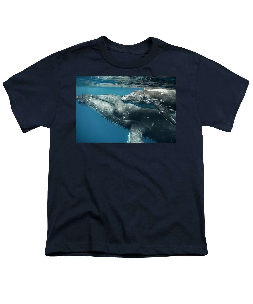 Animal Youth T-Shirt featuring the photograph Humpback Whale And Calf Up Close by Tui De Roy