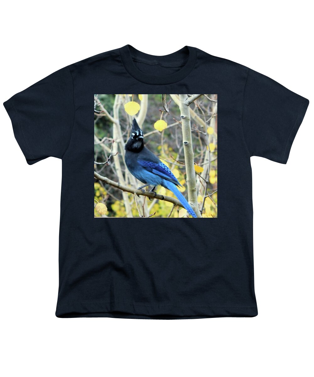Birds Youth T-Shirt featuring the photograph Mountain Jay II by Karen Stansberry