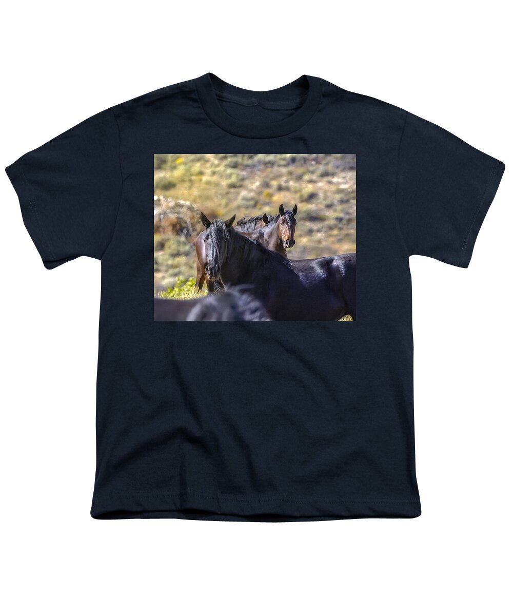 Horse Youth T-Shirt featuring the photograph Wild Horses #5 by Laura Terriere