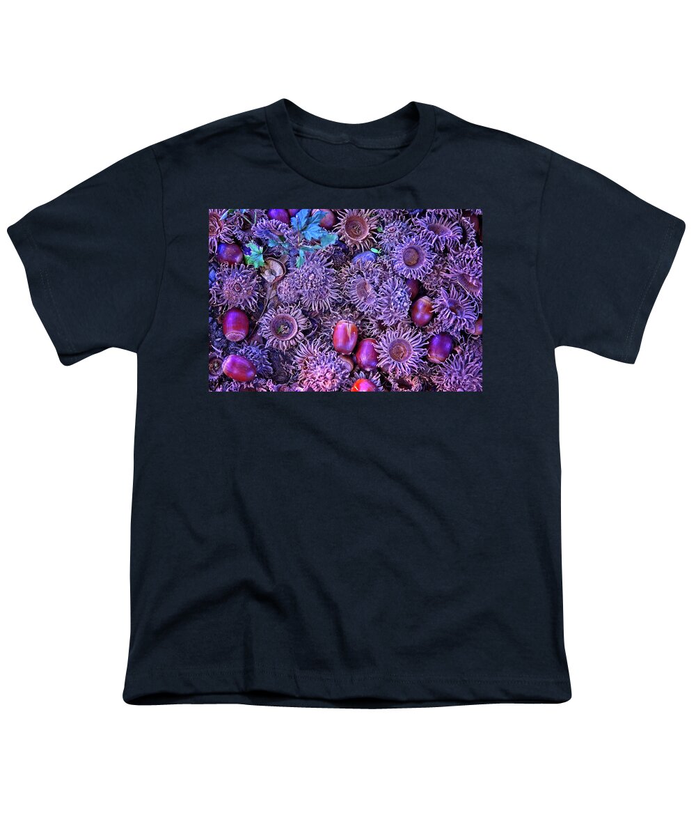 Abstract Youth T-Shirt featuring the digital art Acorns, Pods, And Seeds by David Desautel
