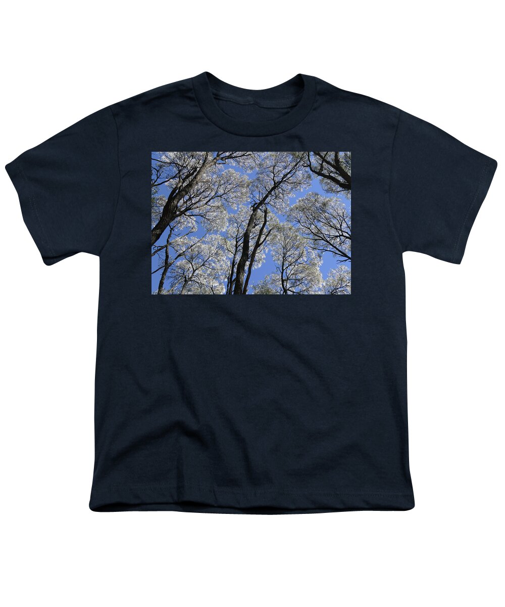 Trees Youth T-Shirt featuring the photograph Ancient Tree Tops by Maryse Jansen