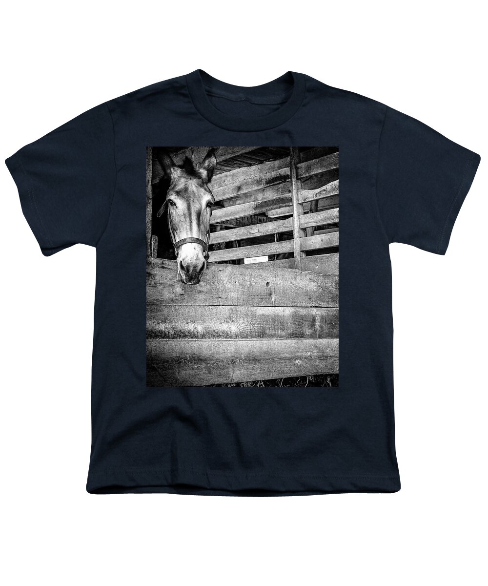  Youth T-Shirt featuring the photograph Donkey by Steve Stanger