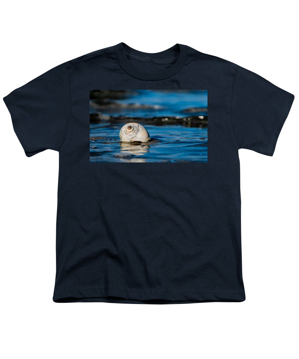 Shell Beach Water Ocean Youth T-Shirt featuring the photograph New England beach shell by Adam Green