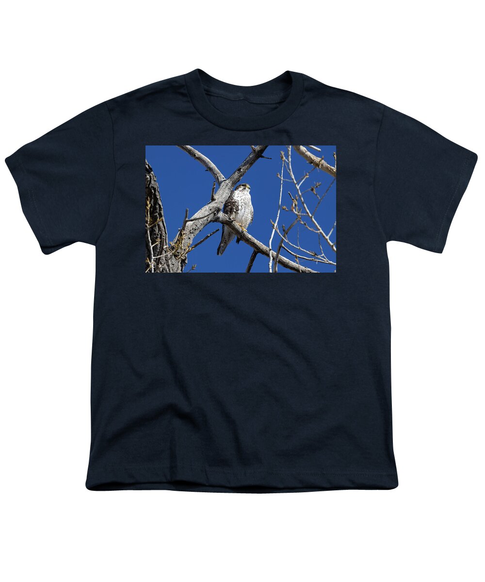 Wildlife Youth T-Shirt featuring the photograph Prairie Falcon Keeps Watch From on High by Tony Hake
