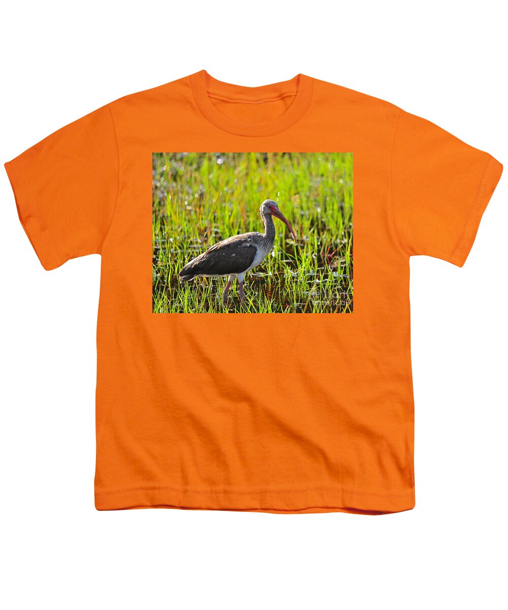 Ibis Youth T-Shirt featuring the photograph Immature Ibis #1 by Al Powell Photography USA