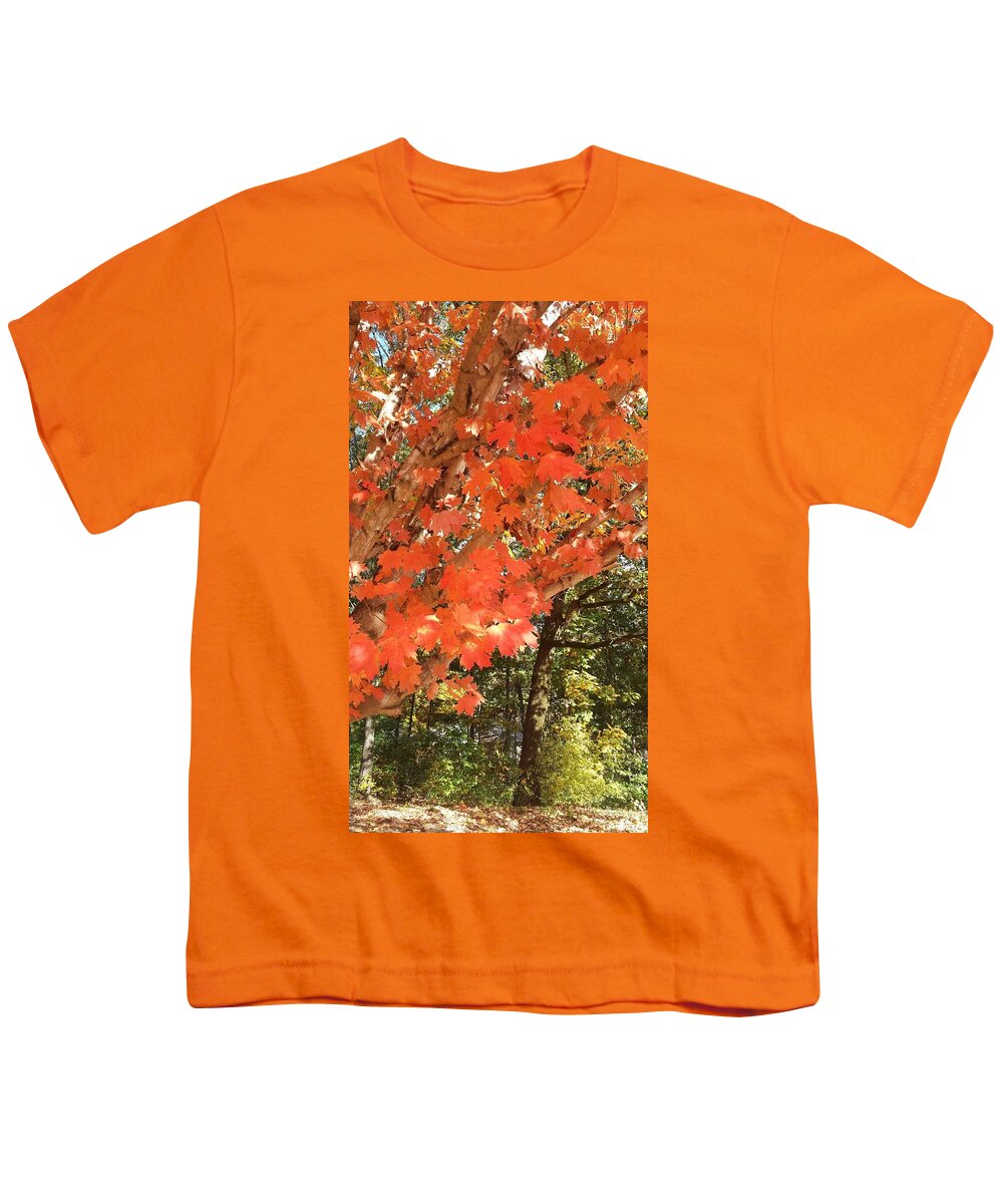 Fall Youth T-Shirt featuring the photograph Fall Explosion of Color #38 by Kenny Glover