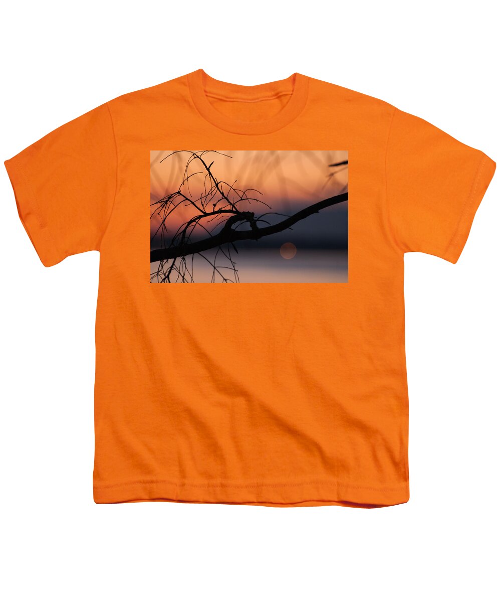 Branch Youth T-Shirt featuring the photograph A-OK Branch by Kathy Paynter