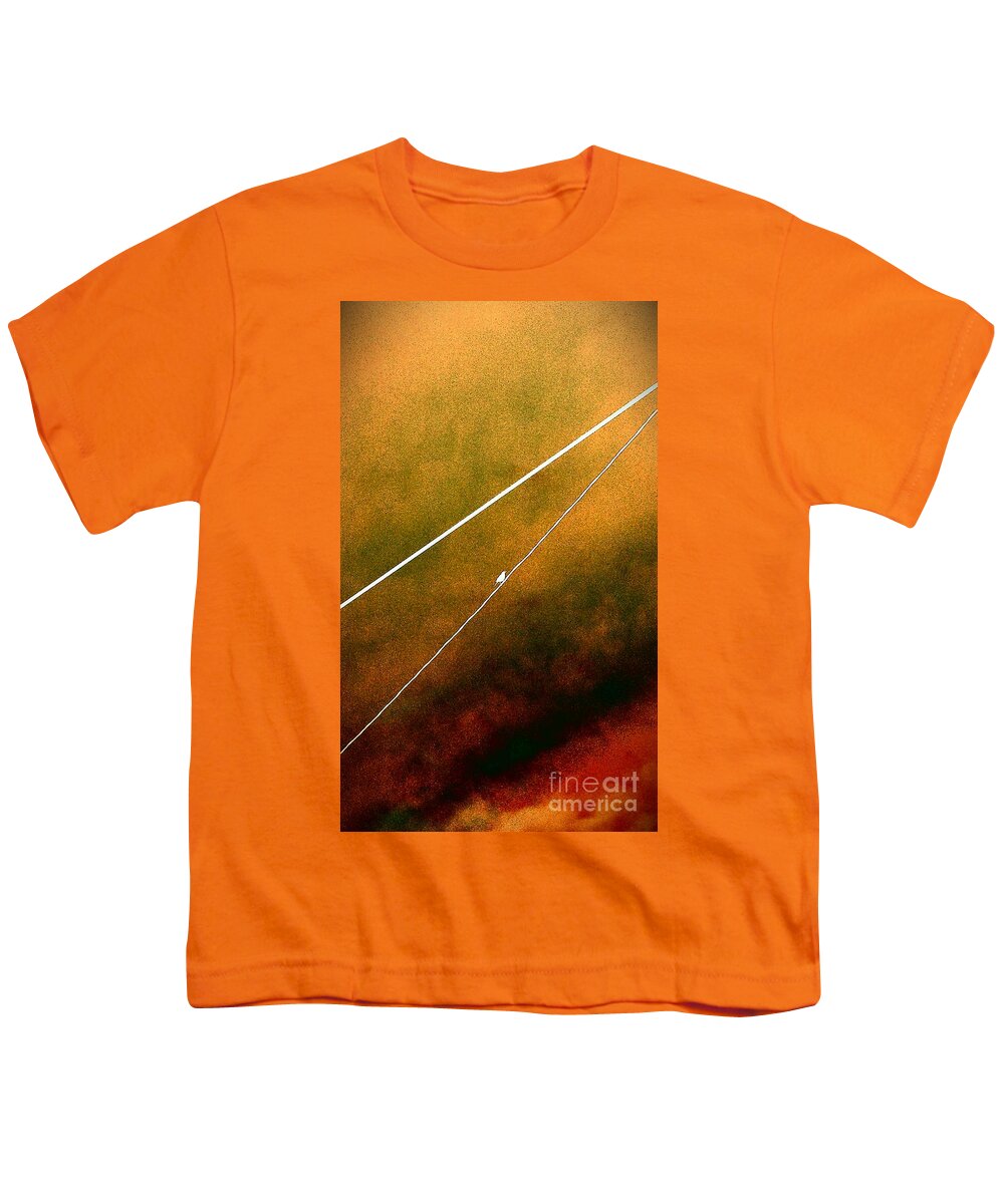 Bird Youth T-Shirt featuring the photograph Always Waiting For Me by Jacqueline McReynolds