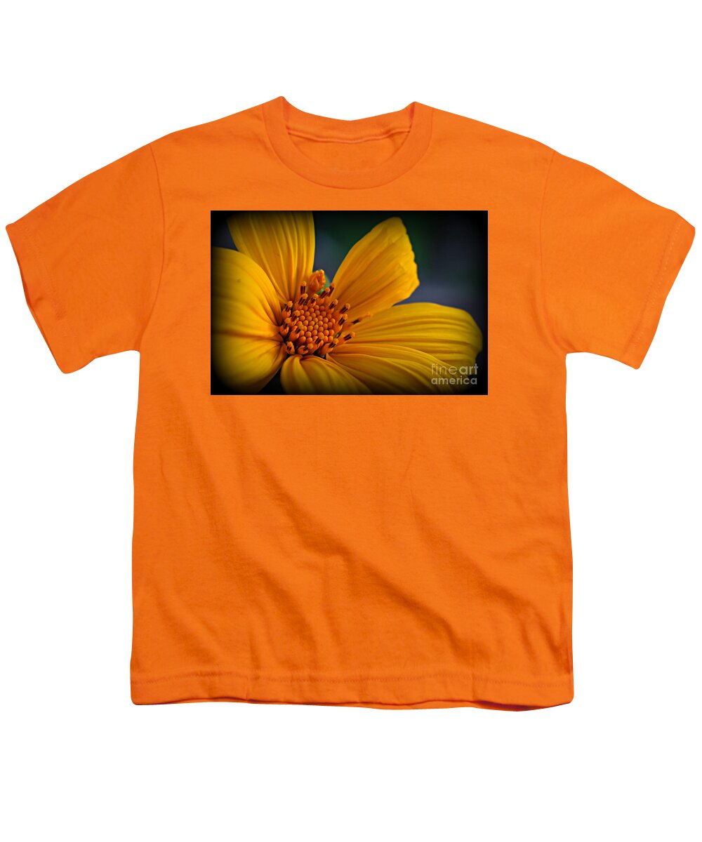 Sunflower Youth T-Shirt featuring the photograph Amarillo by Clare Bevan