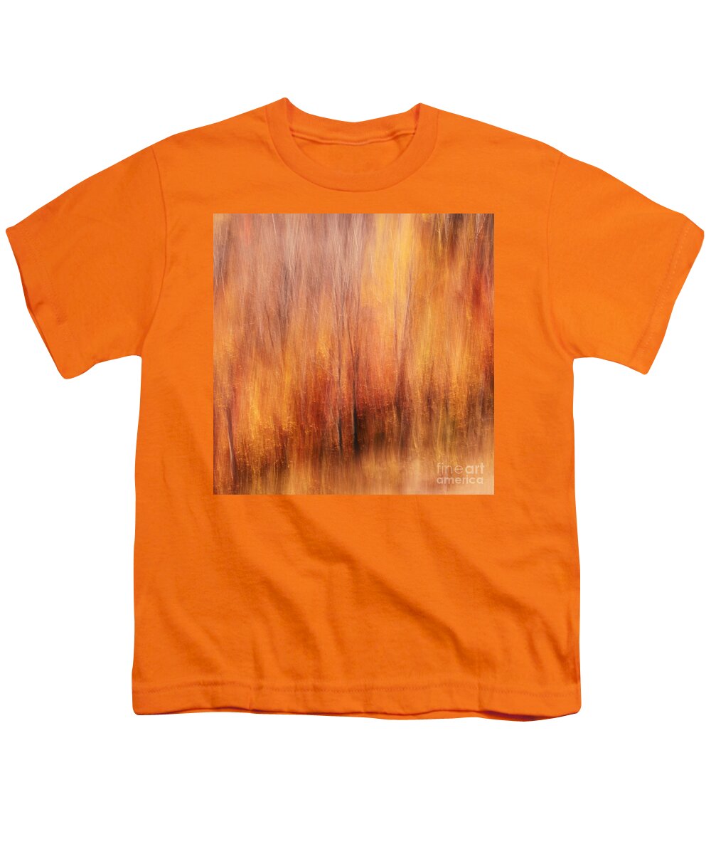 Autumn Youth T-Shirt featuring the photograph Autumn Canvas by Aimelle Ml