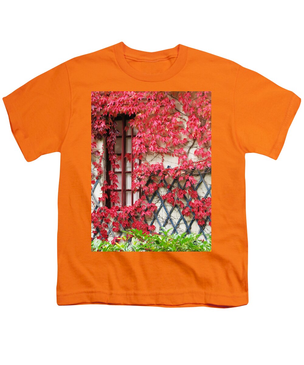 Fall Leaves Youth T-Shirt featuring the photograph Chateau Chenonceau Vines on Wall Image Three by Randi Kuhne