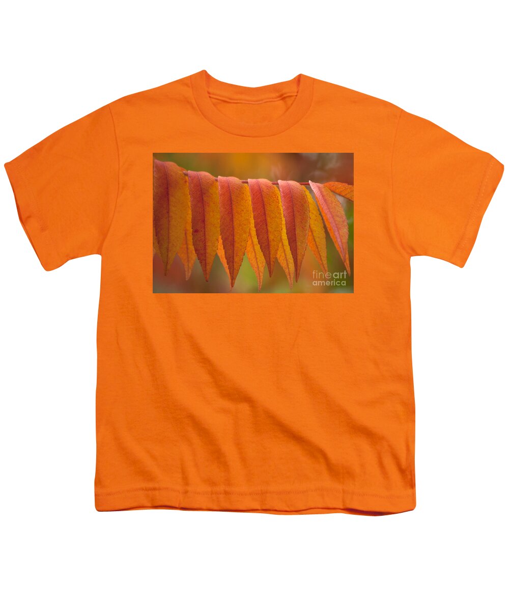 Heiko Youth T-Shirt featuring the photograph Colorful Sumac foliage in fall by Heiko Koehrer-Wagner