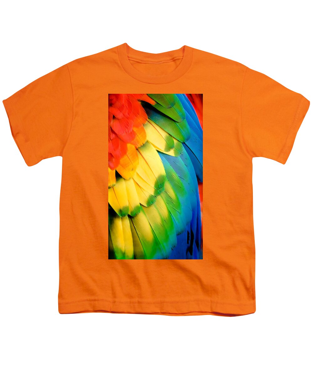 Feathers Youth T-Shirt featuring the photograph Feather Rainbow by Karen Wiles