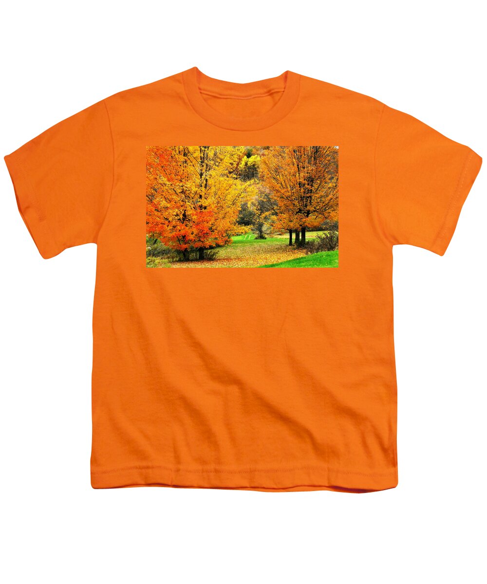 Trees Youth T-Shirt featuring the photograph Grassy Autumn Road by Rodney Lee Williams