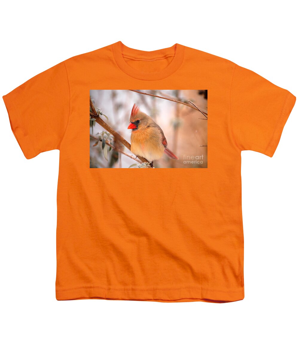 Landscape Youth T-Shirt featuring the photograph Im Just As Pretty Female Cardinal Bird by Peggy Franz