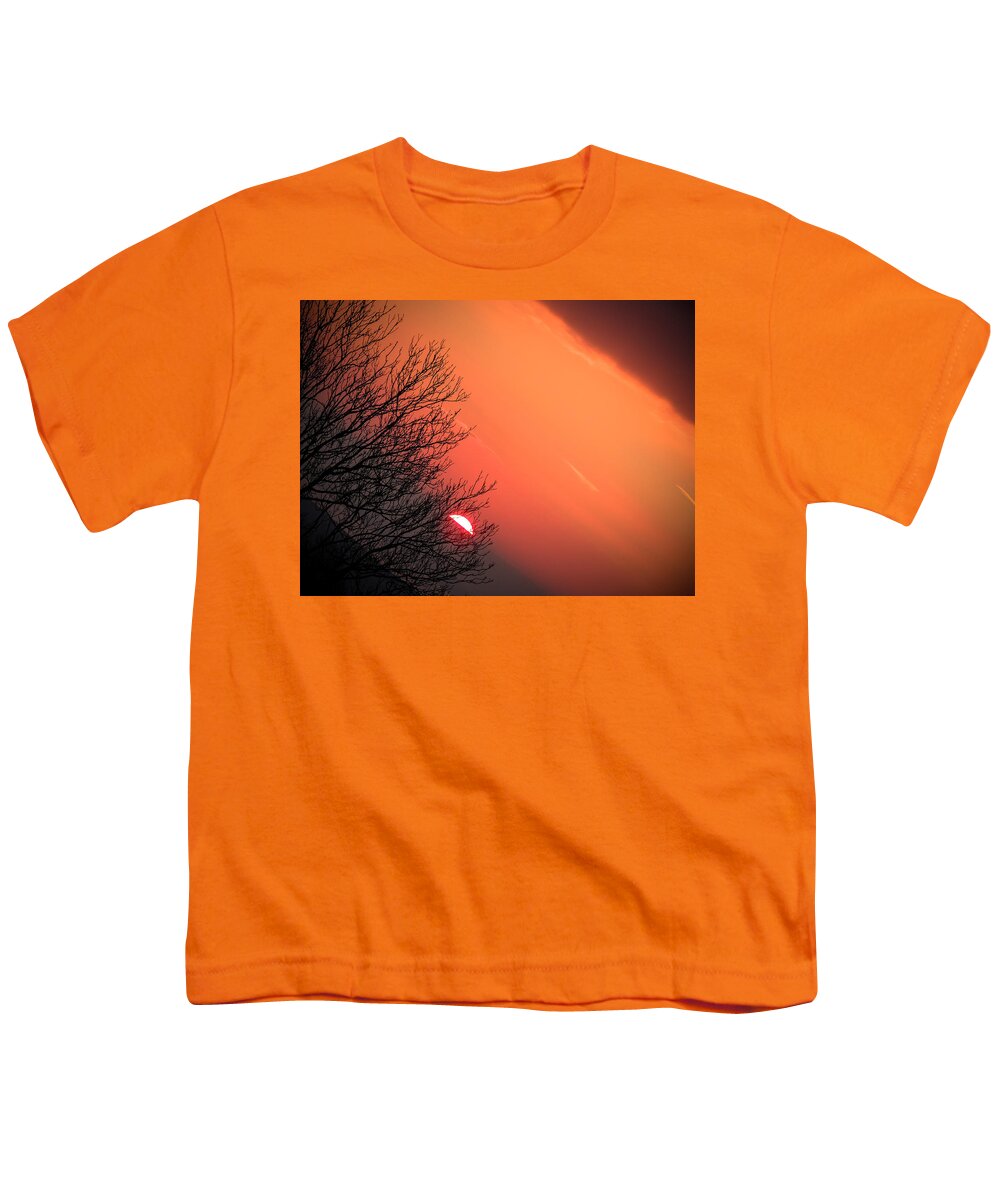 Ireland Youth T-Shirt featuring the photograph Sunrise and Hibernating Tree by James Truett