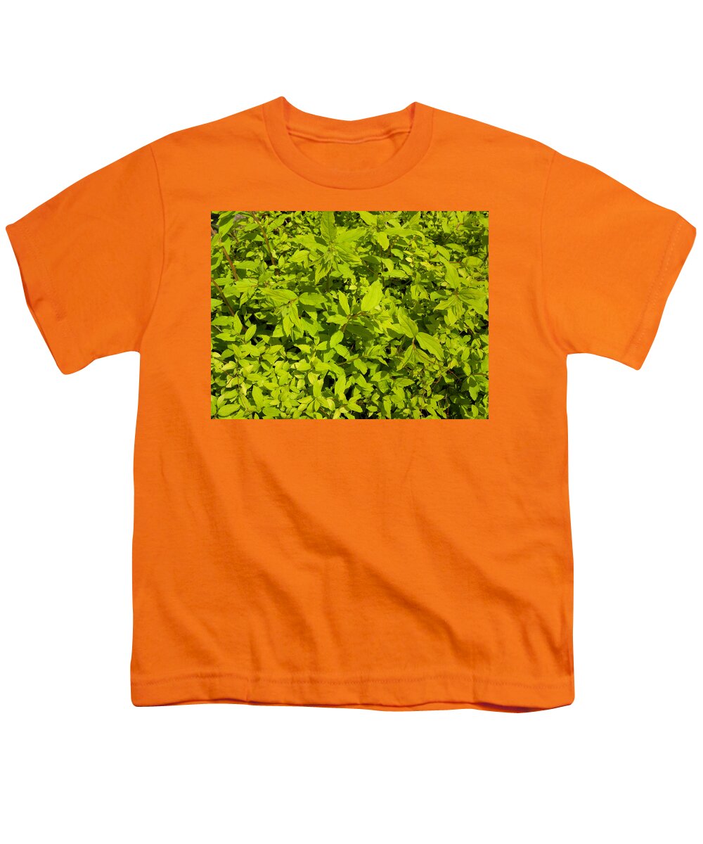 Light Green Youth T-Shirt featuring the photograph Clusters Of Leaves by Kim Galluzzo Wozniak